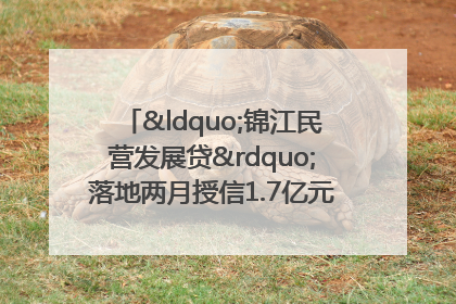 “锦江民营发展贷”落地两月授信1.7亿元，惠及118家民企
