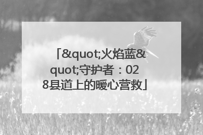 "火焰蓝"守护者：028县道上的暖心营救