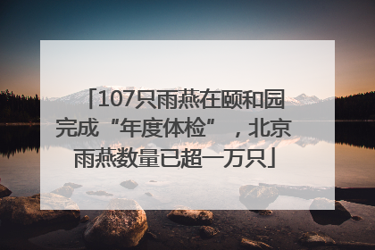 107只雨燕在颐和园完成“年度体检”，北京雨燕数量已超一万只