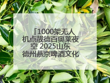 1000架无人机点靓德百奥莱夜空 2025山东德州燕京啤酒文化节6.20启幕