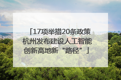 17项举措20条政策 杭州发布建设人工智能创新高地新“路径”