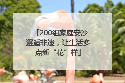 200组家庭安沙邂逅非遗，让生活多点新“花”样
