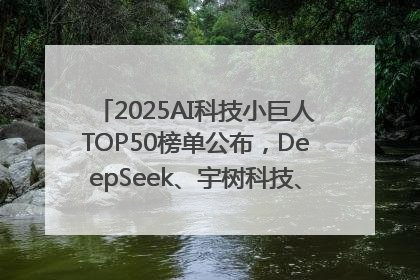 2025AI科技小巨人TOP50榜单公布，DeepSeek、宇树科技、蘑菇车联等企业荣誉上榜