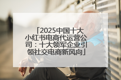 2025中国十大小红书电商代运营公司：十大领军企业引领社交电商新风向