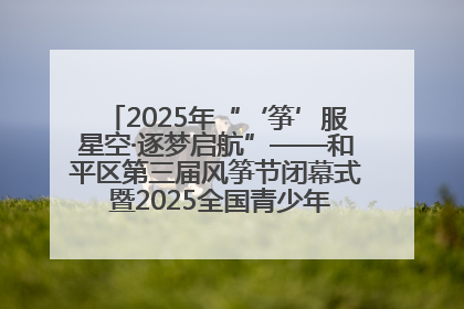 2025年“‘筝’服星空·逐梦启航”——和平区第三届风筝节闭幕式 暨2025全国青少年风筝制作放飞赛（沈阳站）颁奖仪式