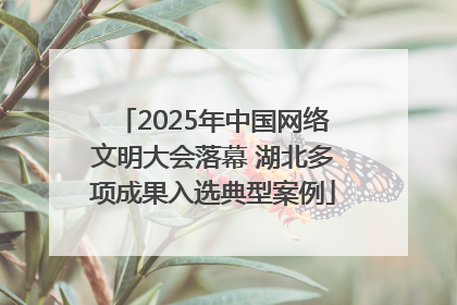 2025年中国网络文明大会落幕 湖北多项成果入选典型案例