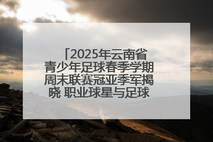 2025年云南省青少年足球春季学期周末联赛冠亚季军揭晓 职业球星与足球小将共享荣耀时刻