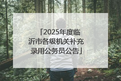 2025年度临沂市各级机关补充录用公务员公告
