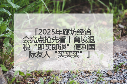 2025年廊坊经洽会亮点抢先看丨离境退税“即买即退”便利国际友人“买买买”
