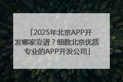 2025年北京APP开发哪家靠谱？细数北京优质专业的APP开发公司