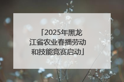 2025年黑龙江省农业春播劳动和技能竞赛启动
