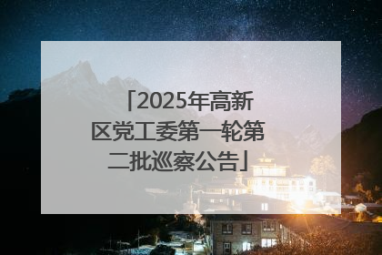 2025年高新区党工委第一轮第二批巡察公告