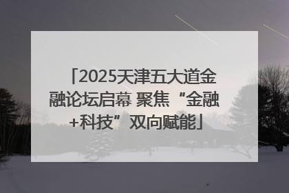 2025天津五大道金融论坛启幕 聚焦“金融+科技”双向赋能