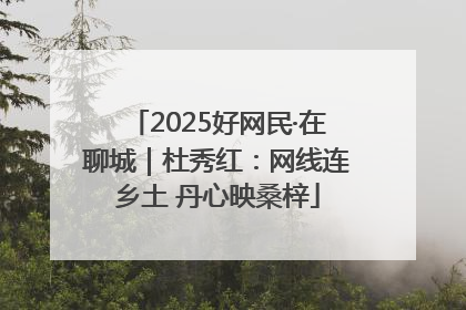 2025好网民·在聊城｜杜秀红：网线连乡土 丹心映桑梓