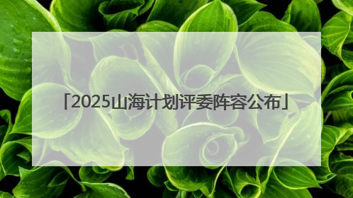 2025山海计划评委阵容公布
