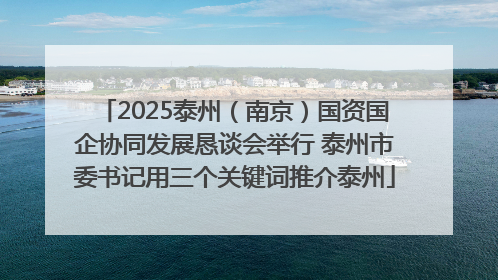 2025泰州（南京）国资国企协同发展恳谈会举行 泰州市委书记用三个关键词推介泰州