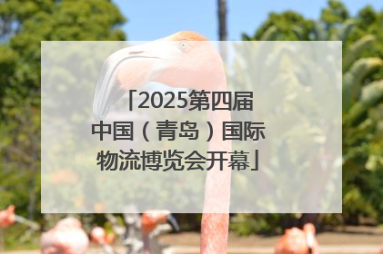 2025第四届中国（青岛）国际物流博览会开幕
