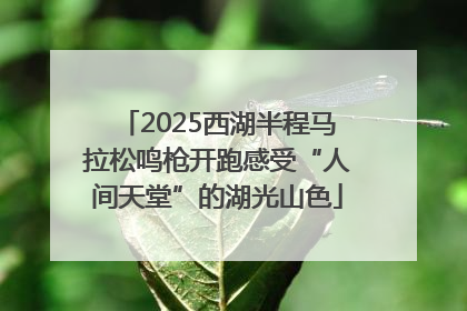 2025西湖半程马拉松鸣枪开跑感受“人间天堂”的湖光山色