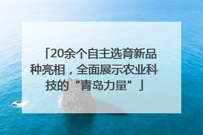 20余个自主选育新品种亮相，全面展示农业科技的“青岛力量”