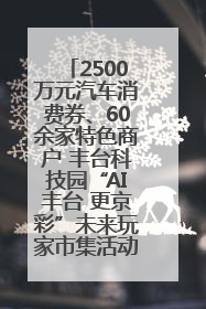 2500万元汽车消费券、60余家特色商户 丰台科技园“AI丰台 更京彩”未来玩家市集活动正式开幕