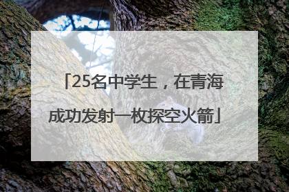 25名中学生，在青海成功发射一枚探空火箭