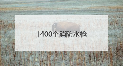 400个消防水枪头不翼而飞，偷这些设施“真刑”！