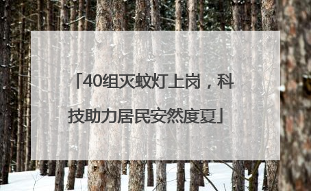 40组灭蚊灯上岗，科技助力居民安然度夏