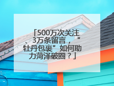 500万次关注、3万条留言，“牡丹包裹”如何助力菏泽破圈？
