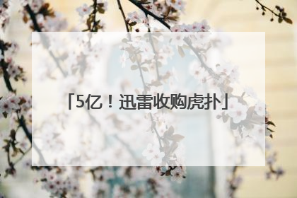 5亿！迅雷收购虎扑