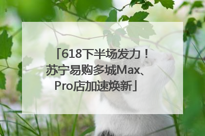 618下半场发力！苏宁易购多城Max、Pro店加速焕新