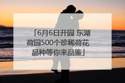 6月6日开园 东湖荷园500个珍稀荷花品种等你来品鉴