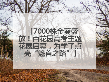 7000株金葵盛放！百花园高考主题花展启幕，为学子点亮“魁首之路”