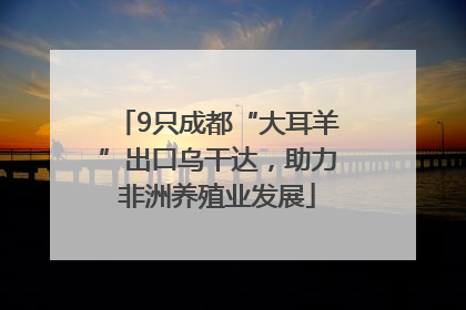 9只成都“大耳羊”出口乌干达，助力非洲养殖业发展