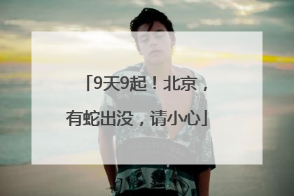 9天9起！北京，有蛇出没，请小心