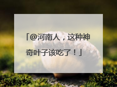 @河南人，这种神奇叶子该吃了！