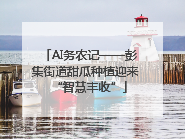 AI务农记——彭集街道甜瓜种植迎来“智慧丰收”