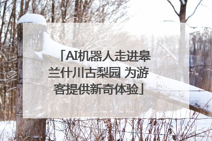 AI机器人走进皋兰什川古梨园 为游客提供新奇体验