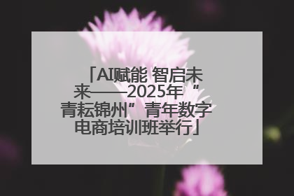 AI赋能 智启未来——2025年“青耘锦州”青年数字电商培训班举行