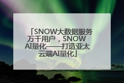 SNOW大数据服务万千用户，SNOW AI量化——打造亚太云端AI量化